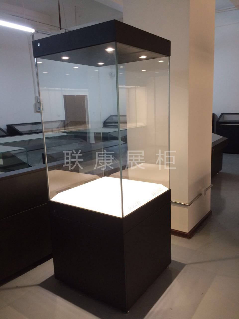 博物館獨(dú)立展柜設(shè)計(jì)效果圖.png