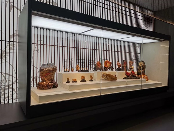 博物館獨立展柜圖片