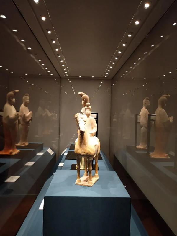 浙江大學藝術(shù)與考古博物館文物展柜